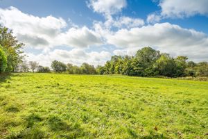 Grounds- click for photo gallery